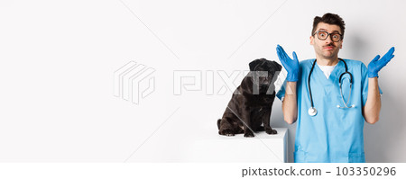 Clueless doctor veteriantian in scrubs shrugging, staring at camera confused while dog sitting on examination table and waiting for check-up, white background 103350296
