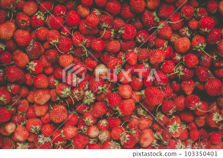 background from freshly harvested strawberries, directly above background from freshly harvested strawberries, directly above 103350401