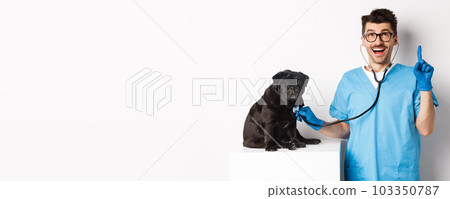 Handsome doctor veterinarian smiling, examining pet in vet clinic, checking pug dog with stethoscope, pointing finger up at promo banner, white background 103350787