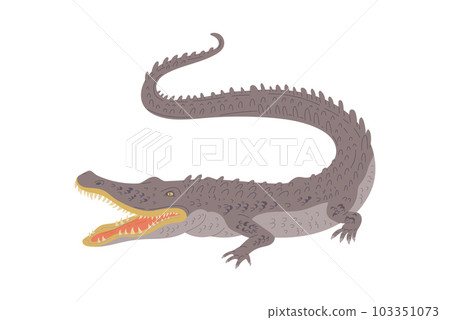 Australian crocodile, hand drawn flat vector illustration isolated on white background. 103351073