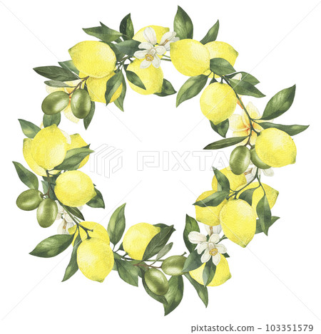 Lemon and olives watercolor wreath. Hand drawn illustration isolated on white 103351579