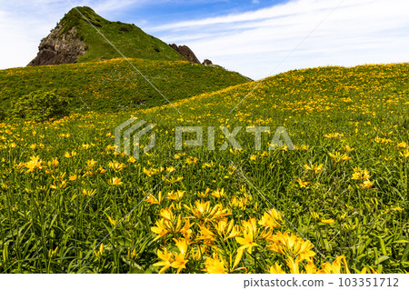 [Niigata Prefecture/Sado] Onogame Flower garden in early summer May to June 103351712