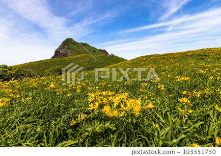 [新潟縣/佐渡]初夏5月至6月的小野龜花園 103351730