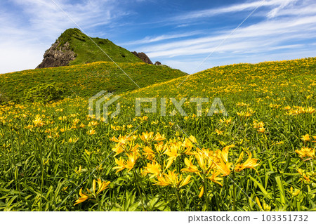 [新潟縣/佐渡]初夏5月至6月的小野龜花園 103351732