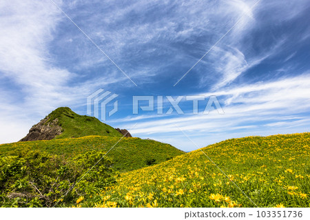 [Niigata Prefecture/Sado] Onogame Flower garden in early summer May to June 103351736