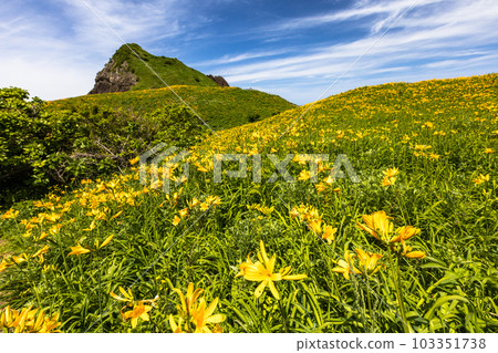 [新潟縣/佐渡]初夏5月至6月的小野龜花園 103351738