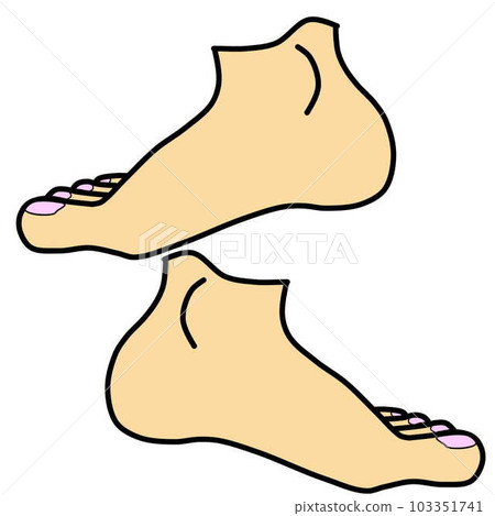 雙腿的插圖 雙腿的插圖 103351741