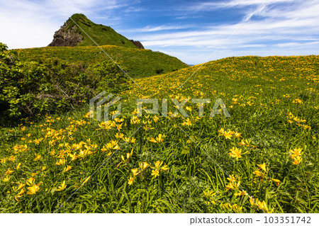 [Niigata Prefecture/Sado] Onogame Flower garden in early summer May to June 103351742