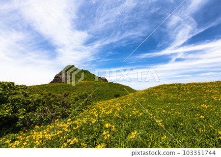 [新潟縣/佐渡]初夏5月至6月的小野龜花園 103351744