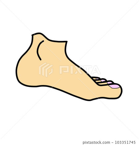 左腿的插圖 左腿的插圖 103351745