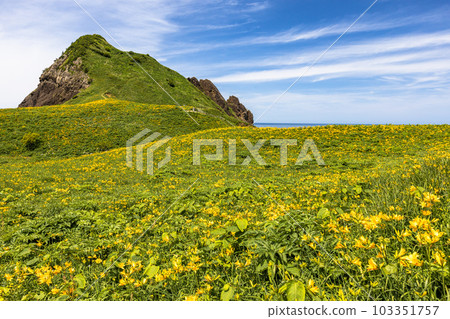 [Niigata Prefecture/Sado] Onogame Flower garden in early summer May to June 103351757