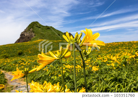 [Niigata Prefecture/Sado] Onogame Flower garden in early summer May to June 103351760