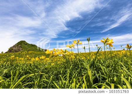 [Niigata Prefecture/Sado] Onogame Flower garden in early summer May to June 103351763