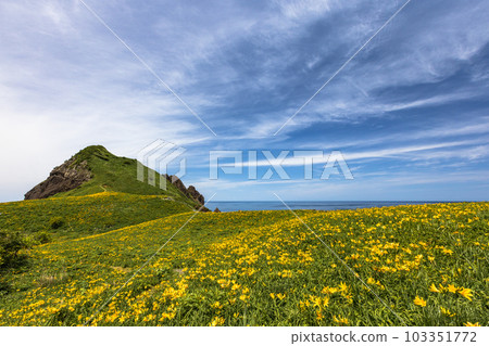 [Niigata Prefecture/Sado] Onogame Flower garden in early summer May to June 103351772