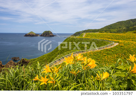 [Niigata Prefecture/Sado] Onogame Flower garden in early summer May to June 103351797