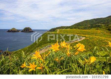 [新潟縣/佐渡]初夏5月至6月的小野龜花園 103351799