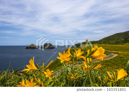 [Niigata Prefecture/Sado] Onogame Flower garden in early summer May to June 103351801
