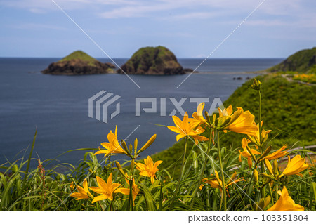 [Niigata Prefecture/Sado] Onogame Flower garden in early summer May to June 103351804