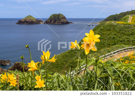 [Niigata Prefecture/Sado] Onogame Flower garden in early summer May to June 103351822
