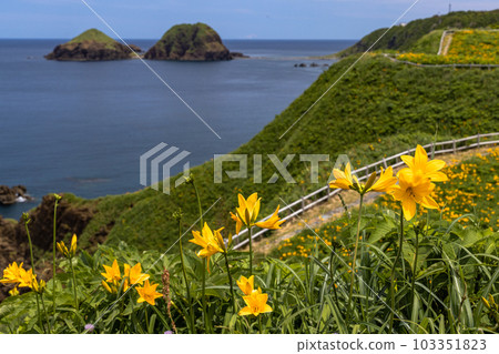 [Niigata Prefecture/Sado] Onogame Flower garden in early summer May to June 103351823