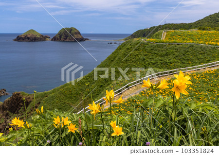 [Niigata Prefecture/Sado] Onogame Flower garden in early summer May to June 103351824