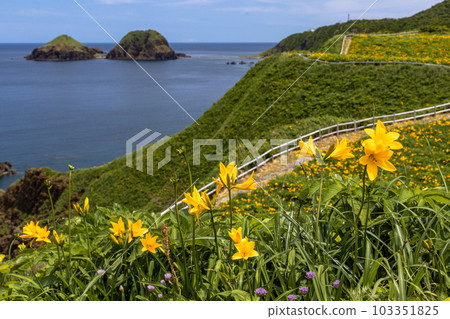 [Niigata Prefecture/Sado] Onogame Flower garden in early summer May to June 103351825