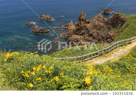 [Niigata Prefecture/Sado] Onogame Flower garden in early summer May to June 103351838