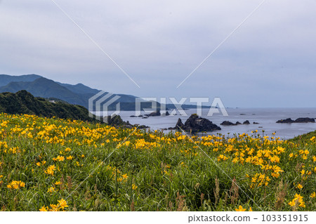 [Niigata Prefecture/Sado] Onogame Flower garden in early summer May to June 103351915