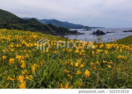 [Niigata Prefecture/Sado] Onogame Flower garden in early summer May to June 103351918