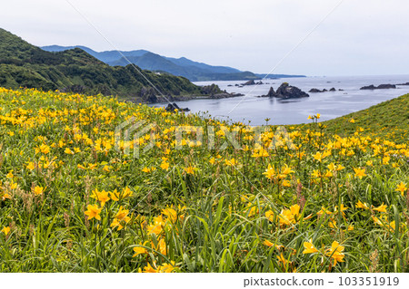 [Niigata Prefecture/Sado] Onogame Flower garden in early summer May to June 103351919