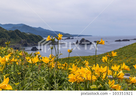 [Niigata Prefecture/Sado] Onogame Flower garden in early summer May to June 103351921