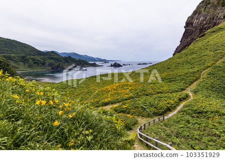 [新潟縣/佐渡]初夏5月至6月的小野龜花園 103351929