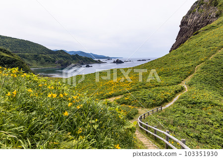 [新潟縣/佐渡]初夏5月至6月的小野龜花園 103351930