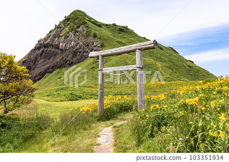 [Niigata Prefecture/Sado] Onogame Flower garden in early summer May to June 103351934