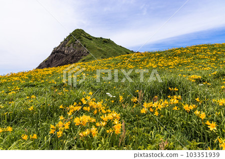 [Niigata Prefecture/Sado] Onogame Flower garden in early summer May to June 103351939