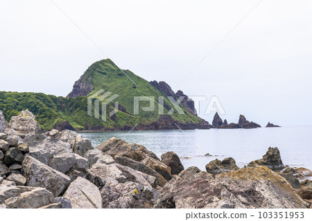 [新潟縣/佐渡]初夏5月至6月的小野龜花園 103351953