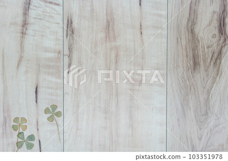 Clover and copy space 4 Clover and copy space 4 103351978