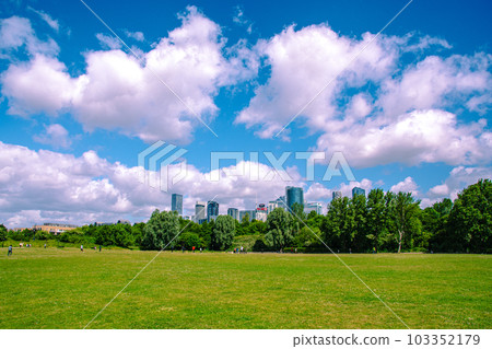 blue sky and green grass 103352179