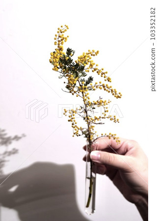 有花的一名婦女 103352182