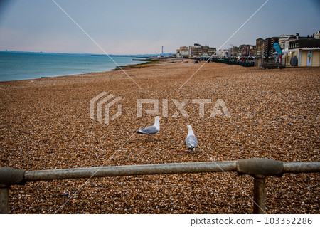 Scenery with seagulls and beautiful coastline Scenery with seagulls and beautiful coastline 103352286