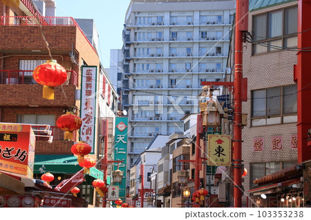神戶/南京町(唐人街)的一家商店的風景 神戶/南京町(唐人街)的一家商店的風景 103353238