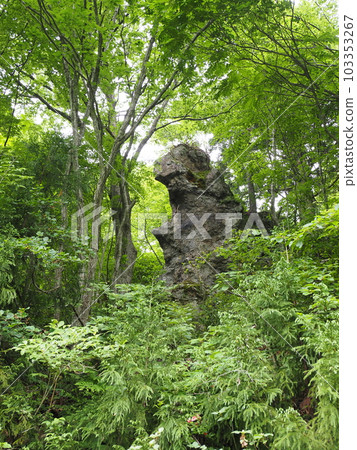 新潟縣關川村大石壩岸邊的哥斯拉巨石 新潟縣關川村大石壩岸邊的哥斯拉巨石 103353267