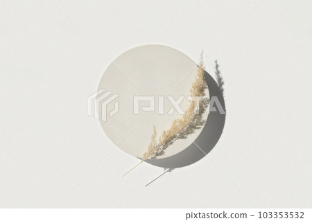 Podium for cosmetic product presentation. Abstract minimal geometrical form. Cylinder stone sphere one form, shadow. Scene to show products. Showcase, display. Trendy sunlight. Flat lay, Top View. 3D 103353532