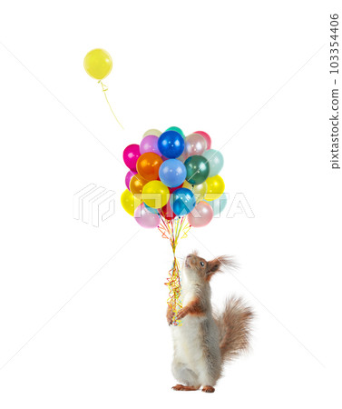 squirrel holding balloons isolated on white background 103354406