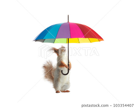 squirrel holding colorful umbrella isolated on white background 103354407