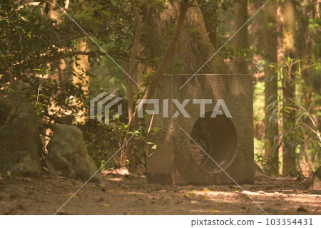 Rounded stone of unknown use 103354431