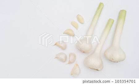 garlic white background garlic white background 103354701