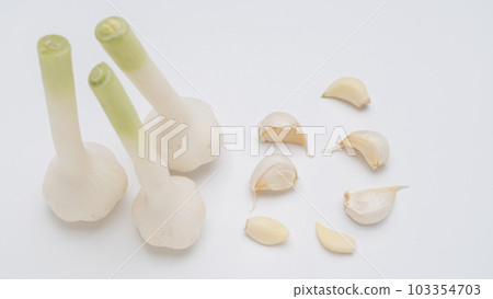 garlic white background 103354703