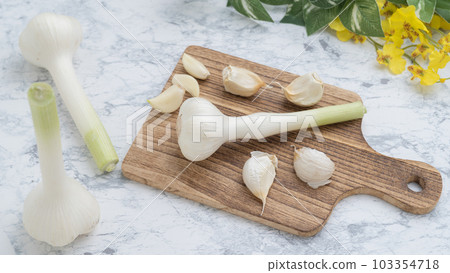 garlic garlic 103354718