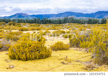 Wilderness Scientific Reserve South Island New Zealand 103354751